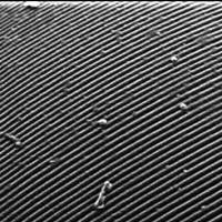 'pars stridens' & 'sublocation' | Daniel Lercher